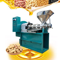 Hete Verkopende Zonnebloemolie Persmachine Ricinusolie Koudgeperste Organische Schroef Palmfruit Kokosolie Persmachine