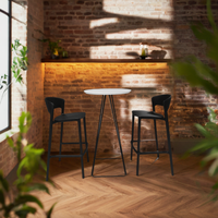 Les tabourets de bar en plastique de meubles extérieurs commerciaux préside le blanc noir pour la cuisine et le café