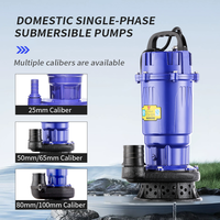 Pompe Submersible 110 V 50 Hz 370 W Diamètre 1 Pouce, Pompe d'Irrigation Agricole Submersible à Haute Pression et Grand Débit avec Coque en Aluminium