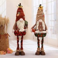 Ensemble de 2 peluches Elfes du Récolte Lumineuses Tomte à barbe blanche pour cadeaux de vacances magiques