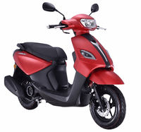 Scooter à essence 110CC, 4 temps, refroidissement par air, CVT, frein à disque et à tambour, 80 km/h, démarrage électrique, STAHO FH110T-JG, cyclomoteur pour adultes