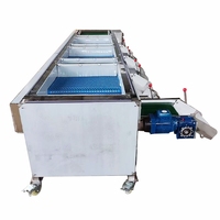 Industriële Blauwe Bes Sorteermachine van RVS, Hoge Efficiëntie, Capaciteit 500-1000kg/u, voor het sorteren van bosbessen en blauwe bessen