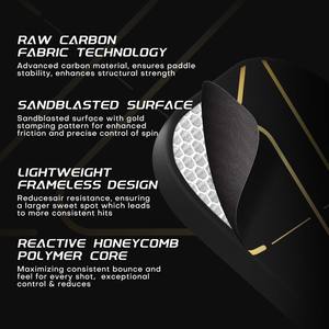 Nouveau modèle 2026 : Surface de frappe portable thermoformée sans bordure, haute qualité, en carbone T700, noyau alvéolaire, approuvé USAPA - Product Image 2