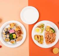 Assiettes de dîner modernes en bagasse blanches, biodégradables, réutilisables, certifiées écologiques, jetables, pour fêtes, lot de 90, Kaixuan, en promotion