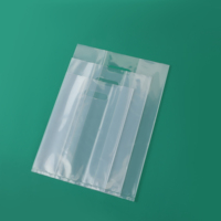 Emballage portatif perforé transparent de muffin de bonbons de déjeuner de salade imprimé avec le sac de pain en plastique de logo