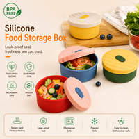 Bol en silicone de qualité alimentaire OEM ODM avec couvercle, boîte à lunch en silicone anti-fuite, récipient alimentaire réutilisable, compatible lave-vaisselle
