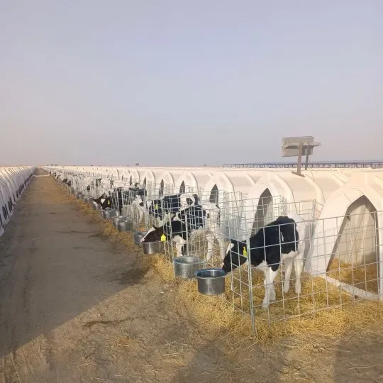 Cages pour animaux ventilées et sécurisées en LLDPE de qualité alimentaire pour îlot veau