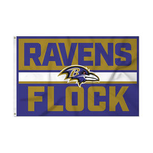 Prêt à expédier Polyester de haute qualité Sport Green Bay Packers drapeau 3x5 Ft bannière avec œillets intérieur extérieur - Product Image 4