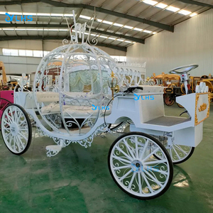 Produttore professionale di grandi carrozze a cavallo luci <span class=keywords><strong>auto</strong></span> decorazione di <span class=keywords><strong>nozze</strong></span> cenerentola veicolo <span class=keywords><strong>per</strong></span> matrimonio - Product Image 6