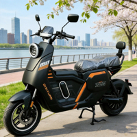 Vélo électrique haute vitesse 1000W U2 U7 pour adultes, moto électrique avec batterie LiFePO4, couleur personnalisée disponible