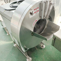 YOUBAN Industriële Automatische Groentesnijmachine Wortel Gember Aardappel Snijder/Schaaf voor Chips en Reepjes Verwerking