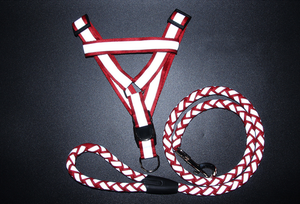 Kingtale wholesale easy walk nylon step in reflective dog harness and leash set - Product Image 5