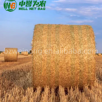 Filet à balles en HDPE tricoté durable, couleur personnalisée, 0,2*3000m, grande compatibilité, pour la récolte et le stockage agricoles
