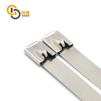 YDST001 Festverriegelbare Sicherheits-Kabelbinder aus Hochwertigem Edelstahl SS 304 mit Logo