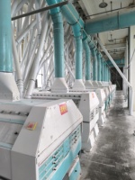 Moteur multifonction haute capacité et longue durée de vie pour ligne de production de farine de blé, idéal pour l'investissement dans les petites entreprises de mouture