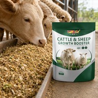 Complément Alimentaire pour l'Engraissement des Bovins, Promoteur de Croissance pour les Grandes Exploitations