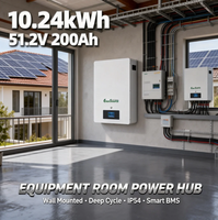 Baterai LiFePO4 48V 10kWh 51.2V 200Ah untuk Sistem Surya yang Dipasang di Dinding