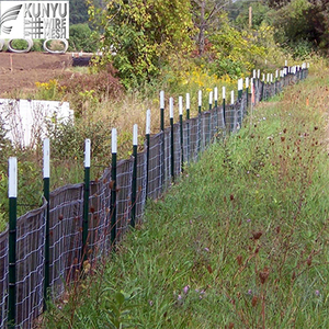 Poteau en T et poteau en Y à clous verts <span class=keywords><strong>de</strong></span> 8 et 10 pieds, poteau <span class=keywords><strong>de</strong></span> clôture en acier en forme <span class=keywords><strong>de</strong></span> T pour la construction <span class=keywords><strong>de</strong></span> clôtures agricoles, style européen, <span class=keywords><strong>prix</strong></span> usine - Product Image 3