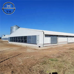 מבנה פלדה טרומי סטנדרטי של האיחוד האירופי, מבנה גמלון, לול/לול תרנגולות, מבני פלדה קלה עם תכנון - Product Image 4