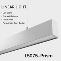 Pencahayaan Linear Warna Hitam Putih Abu-abu 2FT 4FT 6FT 24W 36W 60W UGR<19 Bebas Kedip untuk Supermarket, Lobi, Perpustakaan