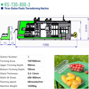 Macchina Automatica per Termoformatura di Vassoi per Uova in Plastica e Contenitori per Fast Food - Product Image 3