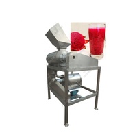 Dubbele fase fruitpulper, ontpitter en schilmachine, automatische mango-, appel- en tomatenpulper en -schiller, roestvrijstalen apparatuur