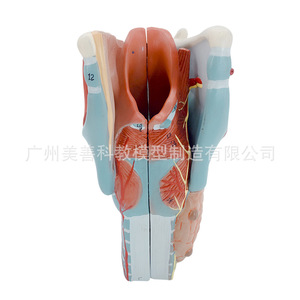 2 - Product Image 3