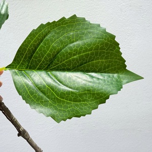 Feuilles d'hortensia artificielles Meng Jie, feuilles de mûrier, fleurs en plastique pour arrangements décoratifs et aménagement intérieur - Product Image 3