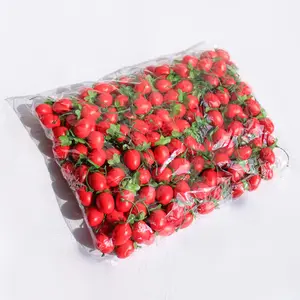 Simulazione frutta cibo modello mini pomodori ciliegia serpente frutta decorazione fotografia sfondo accessori puntelli