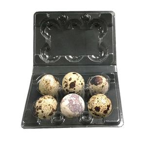 hold 6 quail eggs plastic egg crate