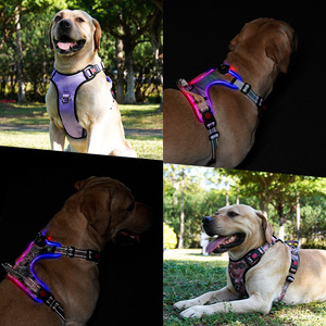 LED Luminous Dog Harness Night Safety Glowing Pet Vest USB Rechargeable Adjustable No-Pull Chest Strap for Large Dogs - Product Image 6