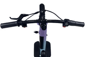 QUEENE/2023 Monopattino Elettrico 24V 250W per Bambini, Bicicletta Senza Pedali, Giocattolo da Equilibrio per Bambini - Product Image 5
