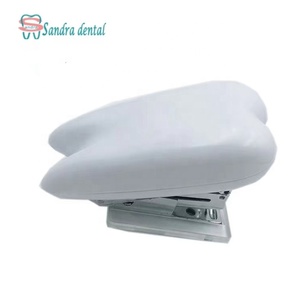 Décoration dentaire en céramique la plus populaire en forme de dents, cadeaux polyvalents pour l'hygiène buccale, pour l'artisanat, tasses, dents décoratives, marque ZZZU - Product Image 6
