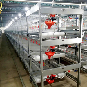 Batteria automatica H tipo 4 livelli polli polli gabbie di allevamento per pollame pollo allevamento - Product Image 1