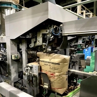 Machine de remplissage de sacs à valve externe 25 kg pneumatique pour poudre chimique avec système de pesage et fonctionnement à faible émission de poussière