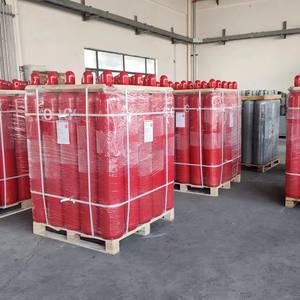 سعر تنافسي نقاء غاز أول أكسيد الكربون المعبأ في زجاجات في أسطوانة 40 لتر و 47 لتر و 50 لتر - Product Image 6