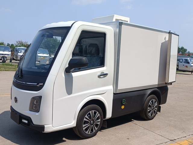 Runhorse Hot Selling Brand New  Electric Cargo Van Truck Transport Last Mile Delivery Light Mini Van With Refrigerator Box