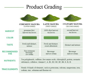 <span class=keywords><strong>Té</strong></span> <span class=keywords><strong>Matcha</strong></span> Orgánico en Polvo en Sobres Individuales de Marca Blanca para Llevar, en Bolsitas de Dosis Única - Product Image 6