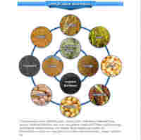 Équipement de séchage de céréales portable et efficace en acier inoxydable, diesel/essence, capacité 15 tonnes, machine mobile de déshydratation de céréales haute performance