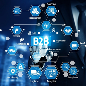 Plateforme e-commerce B2B de qualité professionnelle : Boutiques personnalisables et évolutives avec un design réactif et des solutions numériques avancées - Product Image 5
