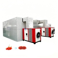 Déshydrateur Électrique Commercial pour Raisins, Baies de Goji, Fruits et Légumes