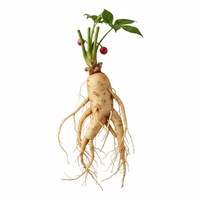 Extrait de ginseng PDRN 10 ppm, matière première cosmétique dérivée de plantes, ingrédient polynucléotidique pour les soins anti-âge de la peau.