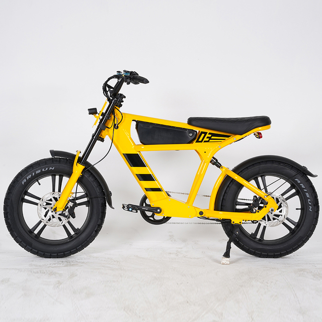 750W Motor Wholesale 2 Wheel Fat Tire Electric Bicycle Motor Electric Bicycle for Adults 48v Electric Bicycle Battery