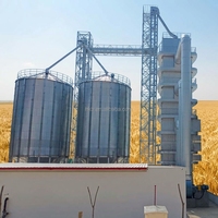 Silo de stockage de céréales en acier ondulé de 1000 tonnes pour la vente