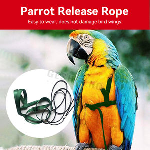 Arnés de nailon para pájaros y loros, correa de tracción voladora para exteriores, banda ajustable, cuerda de entrenamiento antimordida - Product Image 5