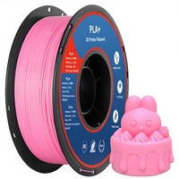 Filamen MakePlanet PLA+ 1KG untuk Pencetakan 3D Warna Transparan Berkualitas Tinggi Diameter 1.75mm 200C Mendukung OEM/ODM Moulding