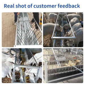 Nouvelle mangeoire et <span class=keywords><strong>abreuvoir</strong></span> pour chèvres en métal <span class=keywords><strong>galvanisé</strong></span>, modèle 2m pour bovins, chevaux, moutons - Product Image 6