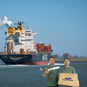 ग्वांग्झू शिपिंग एजेंट घना समुद्री यात्रा की दरें - Product Image 6