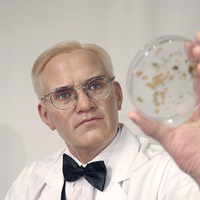 Statue de cire hyper réaliste de scientifique gravée à la main, solution tout-en-un pour vitrine de musée scientifique et décoration intérieure