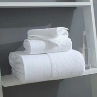 Serviettes de luxe en coton, serviettes de bain, serviettes de golf, ensembles personnalisés avec logo, serviettes turques, serviettes de plage, serviettes de salon, serviettes de rallye, serviettes jetables pour le visage, personnalisées, 100